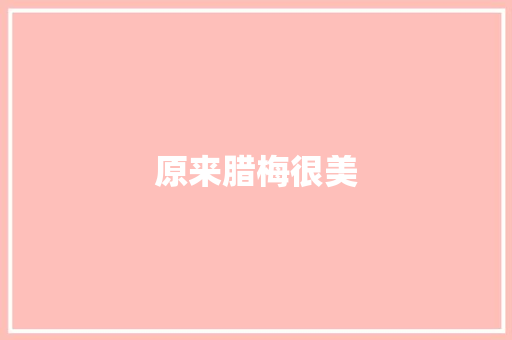 原来腊梅很美