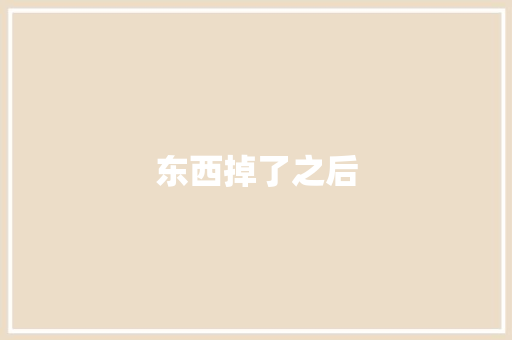 东西掉了之后
