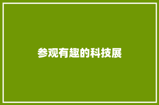 参观有趣的科技展