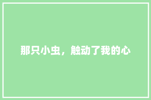 那只小虫，触动了我的心