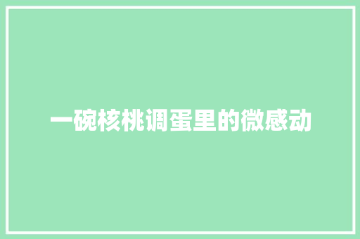 一碗核桃调蛋里的微感动