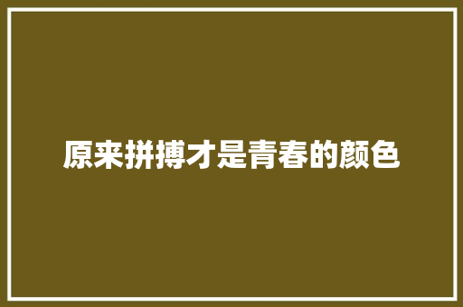 原来拼搏才是青春的颜色