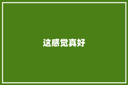 这感觉真好