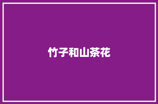 竹子和山茶花