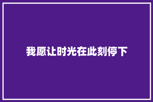 我愿让时光在此刻停下