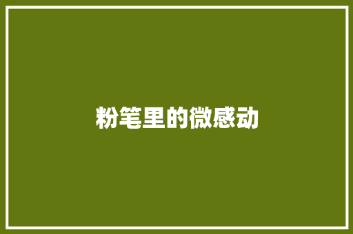 粉笔里的微感动