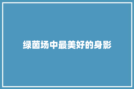 绿茵场中最美好的身影