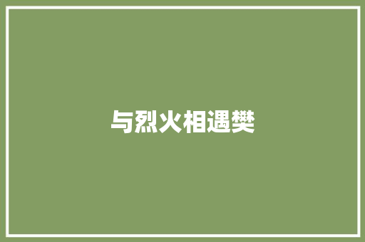 与烈火相遇樊