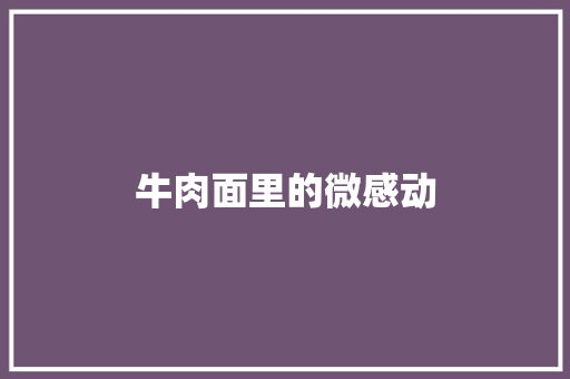 牛肉面里的微感动