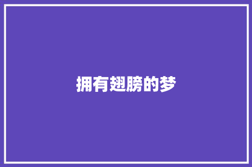 拥有翅膀的梦