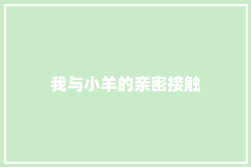 我与小羊的亲密接触
