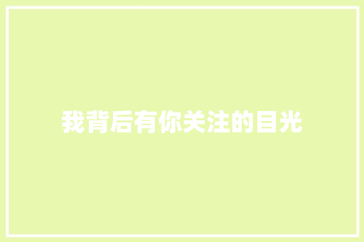 我背后有你关注的目光