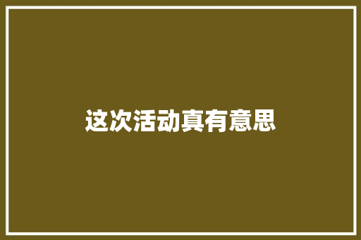 这次活动真有意思