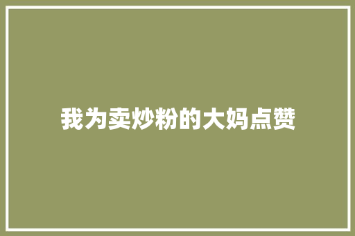 我为卖炒粉的大妈点赞