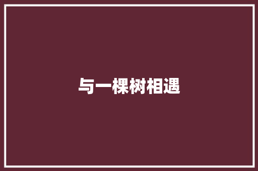 与一棵树相遇