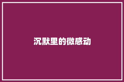 沉默里的微感动