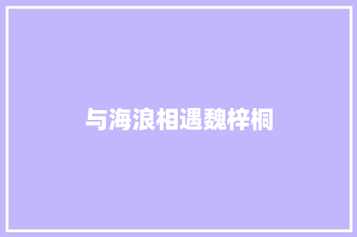 与海浪相遇魏梓桐