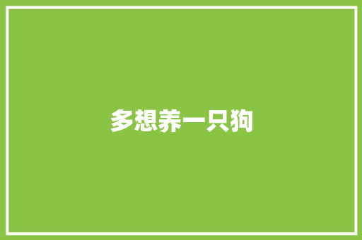 多想养一只狗