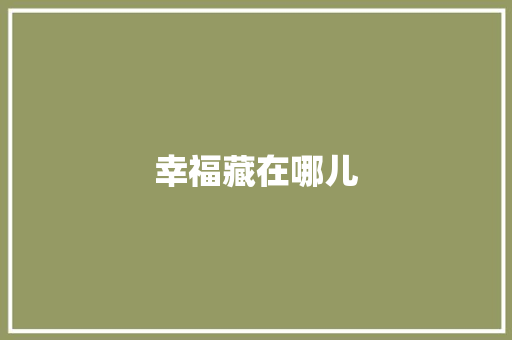 幸福藏在哪儿