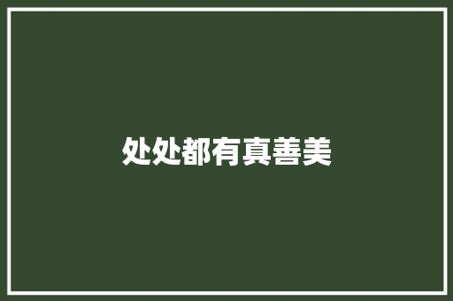 处处都有真善美