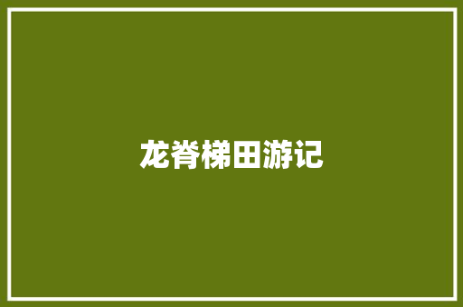 龙脊梯田游记