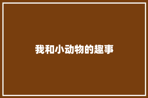 我和小动物的趣事