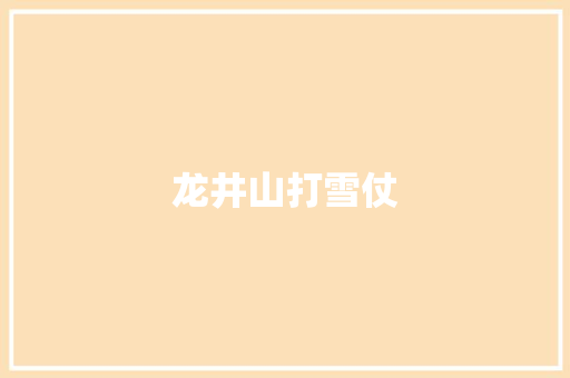 龙井山打雪仗