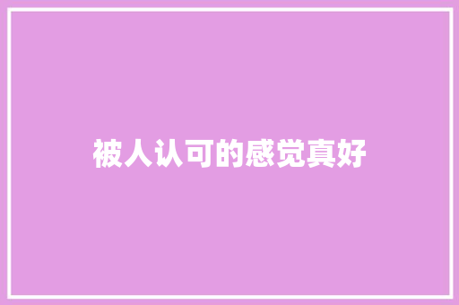 被人认可的感觉真好