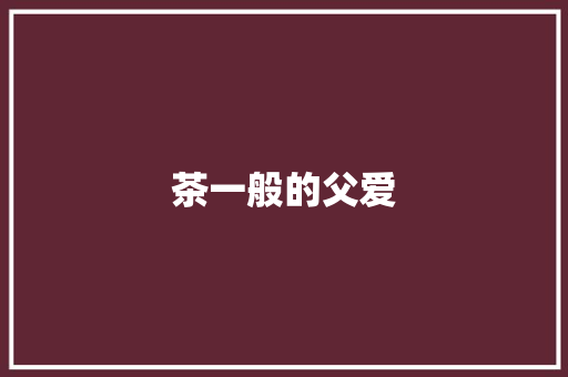 茶一般的父爱