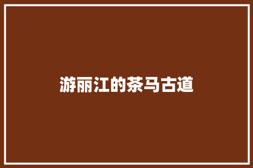 游丽江的茶马古道