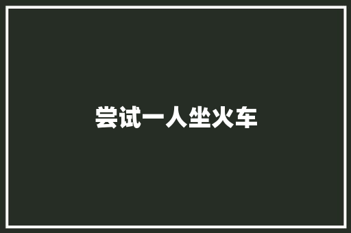 尝试一人坐火车