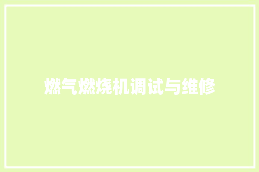燃气燃烧机调试与维修