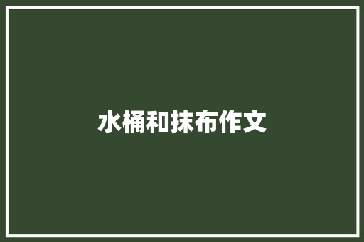 水桶和抹布作文