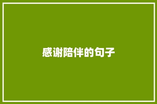 感谢陪伴的句子