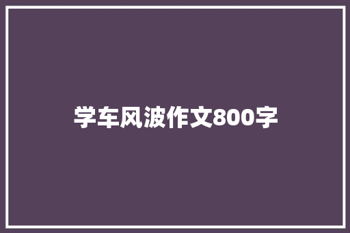学车风波作文800字