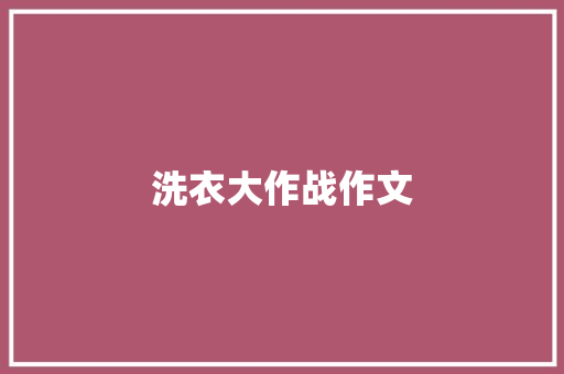 洗衣大作战作文