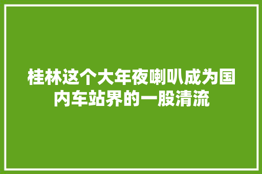 桂林这个大年夜喇叭成为国内车站界的一股清流