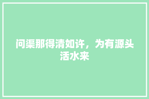 问渠那得清如许，为有源头活水来