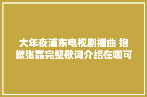 大年夜浦东电视剧插曲 抱歉张磊完整歌词介绍在哪可以听