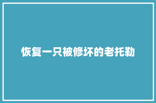 恢复一只被修坏的老托勒 汽车知识