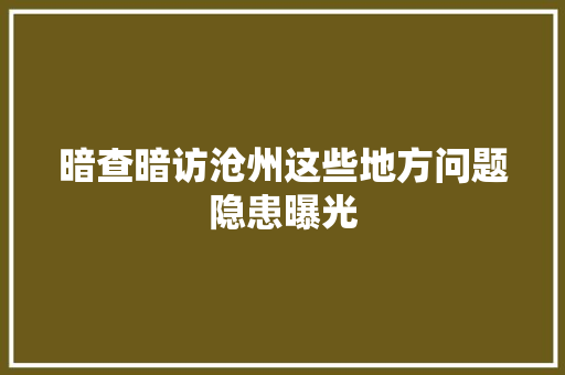 暗查暗访沧州这些地方问题隐患曝光 汽车知识