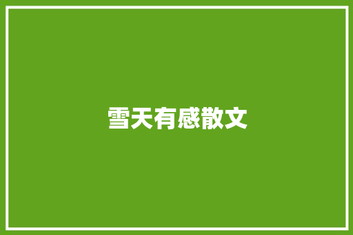 雪天有感散文