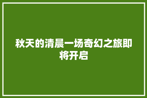 秋天的清晨一场奇幻之旅即将开启