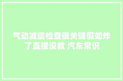气动减震检查很关键假如炸了直接没救 汽车常识 汽车知识