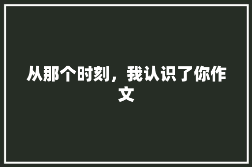 从那个时刻，我认识了你作文