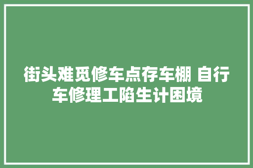 街头难觅修车点存车棚 自行车修理工陷生计困境
