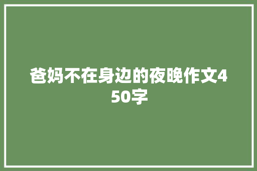 爸妈不在身边的夜晚作文450字