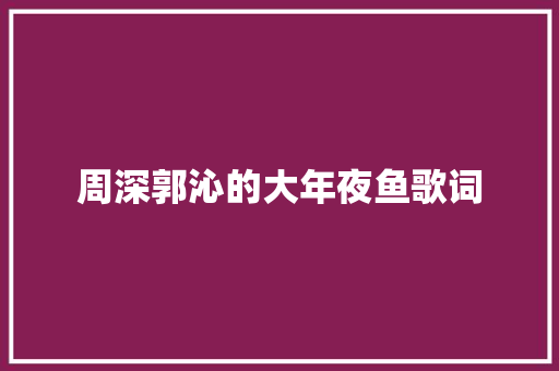 周深郭沁的大年夜鱼歌词