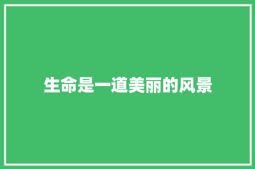 生命是一道美丽的风景