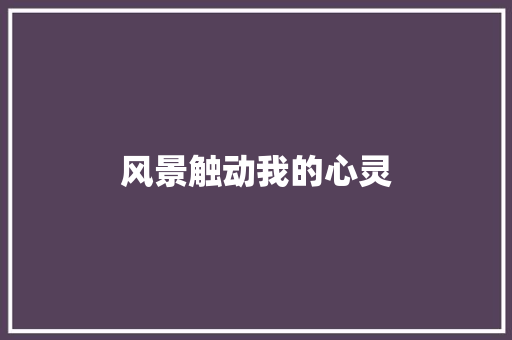 风景触动我的心灵 知识百科